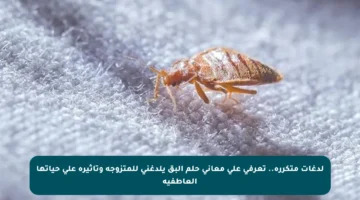 لدغات متكررة.. تعرفي على معاني حلم البق يلدغني للمتزوجة وتأثيره على حياتها العاطفية